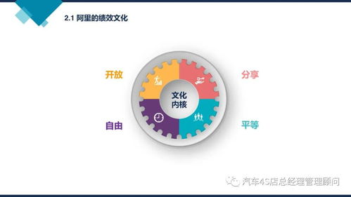 阿里巴巴組織能力建設 驅動企業持續增長的管理新范式