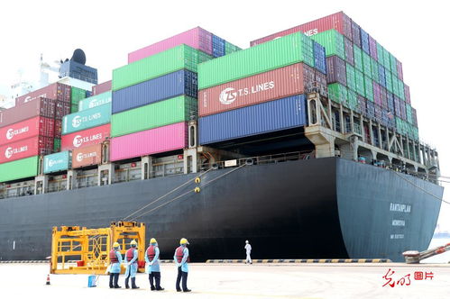 5月份山東外貿進出口創歷史新高，貨物貿易表現強勁