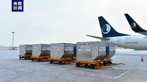 新疆首條定期國際貨運航線正式通航，年貨運吞吐量預計達3000噸